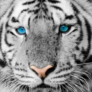 Meet your Posher, Larry